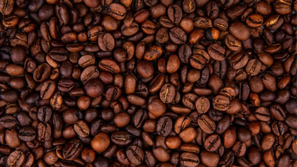 Biji kopi sangrai Arabika Kintamani kualitas specialty dengan warna medium roast